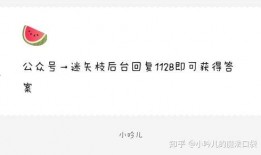 最新娱乐圈爆料文案,明星恋情曝光，幕后真相令人震惊！