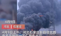 定州最新事件爆料视频曝光,视频爆料揭示惊人真相