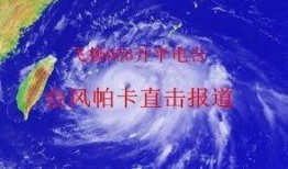开平最新爆料消息视频,视频揭秘惊人内幕