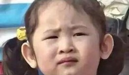 贵圈吃瓜网红,吃瓜群众眼中的娱乐圈风云人物