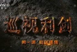 巡视利剑 在线观看,揭秘反腐斗争背后的真实故事