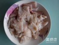 鱿鱼最新爆料图片大全,高清图片大揭秘，带你领略海洋奇观
