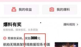 聊城爆料头条最新,揭秘本地热点事件，追踪最新动态